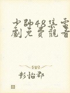 少帅48集电视剧免费观看高清