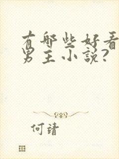 有哪些好看的双男主小说?