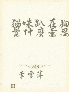 猫咪趴在胸口睡觉什么意思