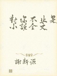 对你不止是喜欢小说全文