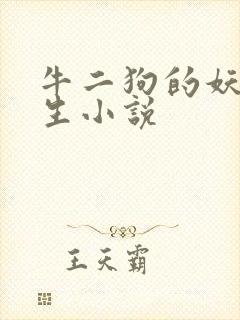 牛二狗的妖孽人生小说