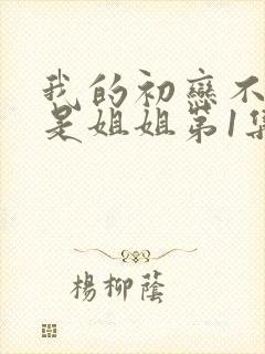 我的初恋不可能是姐姐第1集剧情