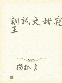 训诫文甜宠双男主