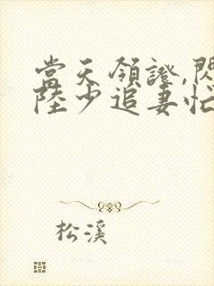 当天领证,闪婚陆少追妻忙短剧免费观看