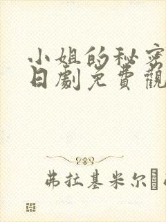 小姐的秘密生活日剧免费观看全集