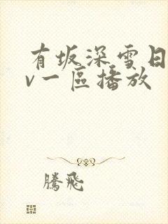 有坂深雪日韩av一区播放封面