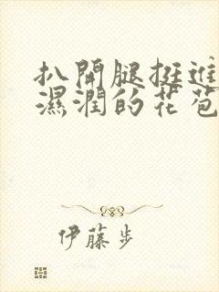 扒开腿挺进小乔湿润的花苞...