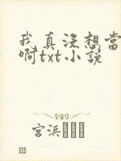 我真没想当皇帝啊txt小说