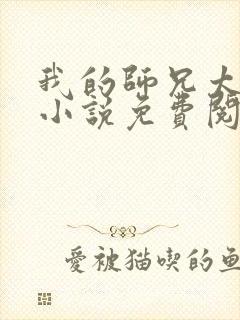 我的师兄太强了小说免费阅读