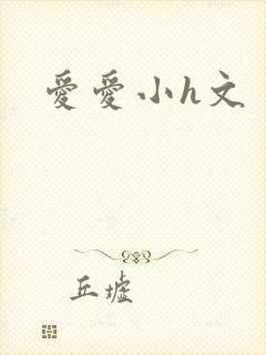 爱爱小h文