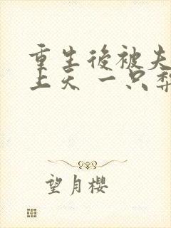 重生后被夫君宠上天 一只梨柚