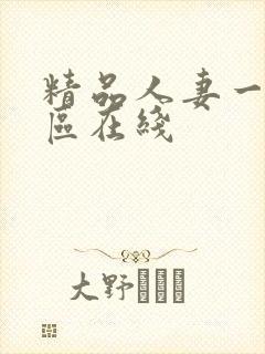 精品人妻一区二区在线