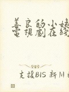 善良的小姨韩剧电视剧在线观看免费封面