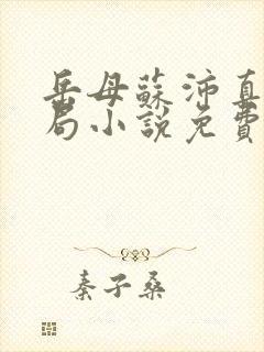 岳母苏沛真大结局小说免费阅读全文无弹窗封面