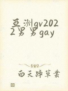 亚洲gv2022男男gay