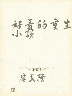 好看的重生官场小说