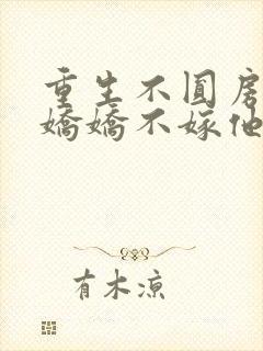 重生不圆房重生娇娇不嫁他急了免费阅读封面