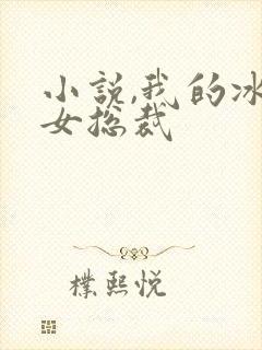 小说,我的冰山女总裁