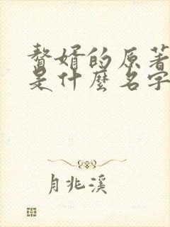 赘婿的原著小说是什么名字