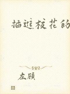 插进校花的逼封面