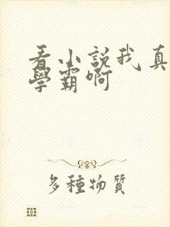 看小说我真不是学霸啊封面