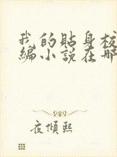 我的贴身校花改编小说在哪里可以阅读