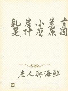 乳房小叶有增生是什么原因