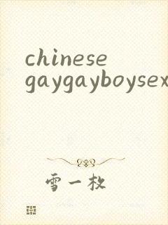 chinesegaygayboysex封面