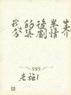 我的后半生剧情分集剧情介绍大结局免费观看