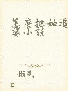 怎么把她追成老婆小说封面