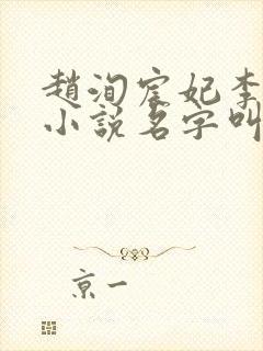 赵洵宸妃李霜华小说名字叫什么