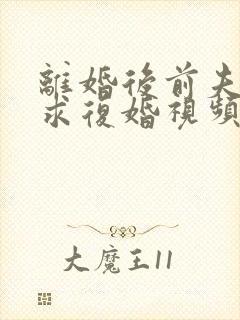 离婚后前夫哭着求复婚视频完整版