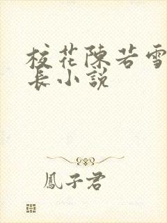 校花陈若雪与校长小说