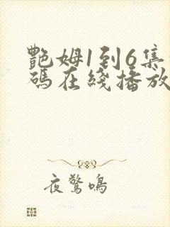 艳姆1到6集转码在线播放封面