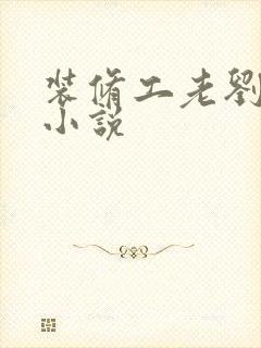 装修工老刘林雪小说