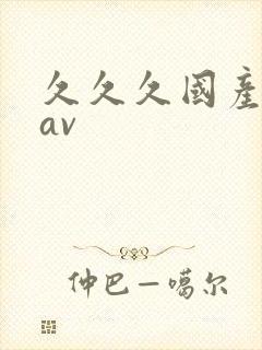 久久久国产精品av