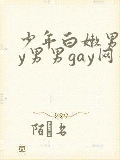 少年白嫩男gay男男gay网站
