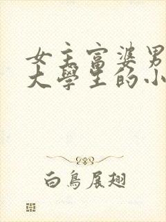 女主富婆男主男大学生的小说