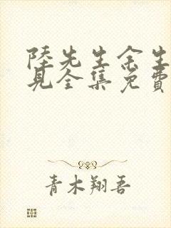 陆先生余生不再见全集免费观看封面