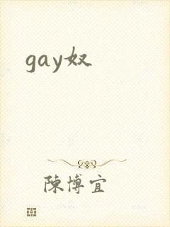 gay奴