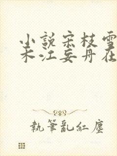 小说宋枝雪顾婉禾江妄舟在线阅读封面