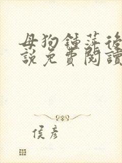 母狗钟萍后传小说免费阅读最新章节封面