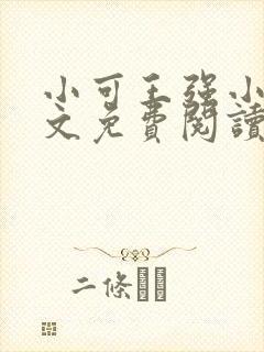 小可王强小说全文免费阅读