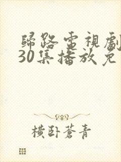 归路电视剧全集30集播放免费观看高清下载封面