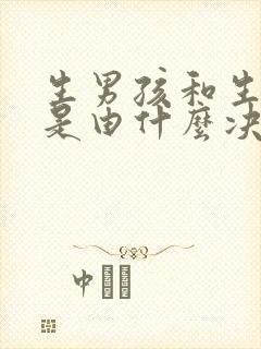 生男孩和生女孩是由什么决定的