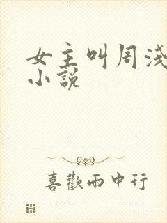 女主叫周浅浅的小说