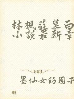 林枫苏慕白穿越小说最新章节