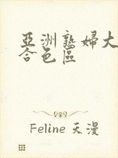 亚洲熟妇大图综合色区