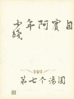 少年阿宾目录在线封面