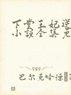 下堂王妃逆袭记小说全集免费看